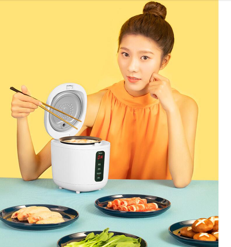 220V 800ML Mini Household Electric Rice Cooker Non-Stick Multi Portable Food Cooking Machine