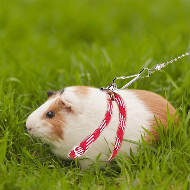 Cute Adjustable Pet Rat Mouse Hamster Harness Rope Hamster Leashes Lead Collar For Rat Mouse Outdoor Supplies