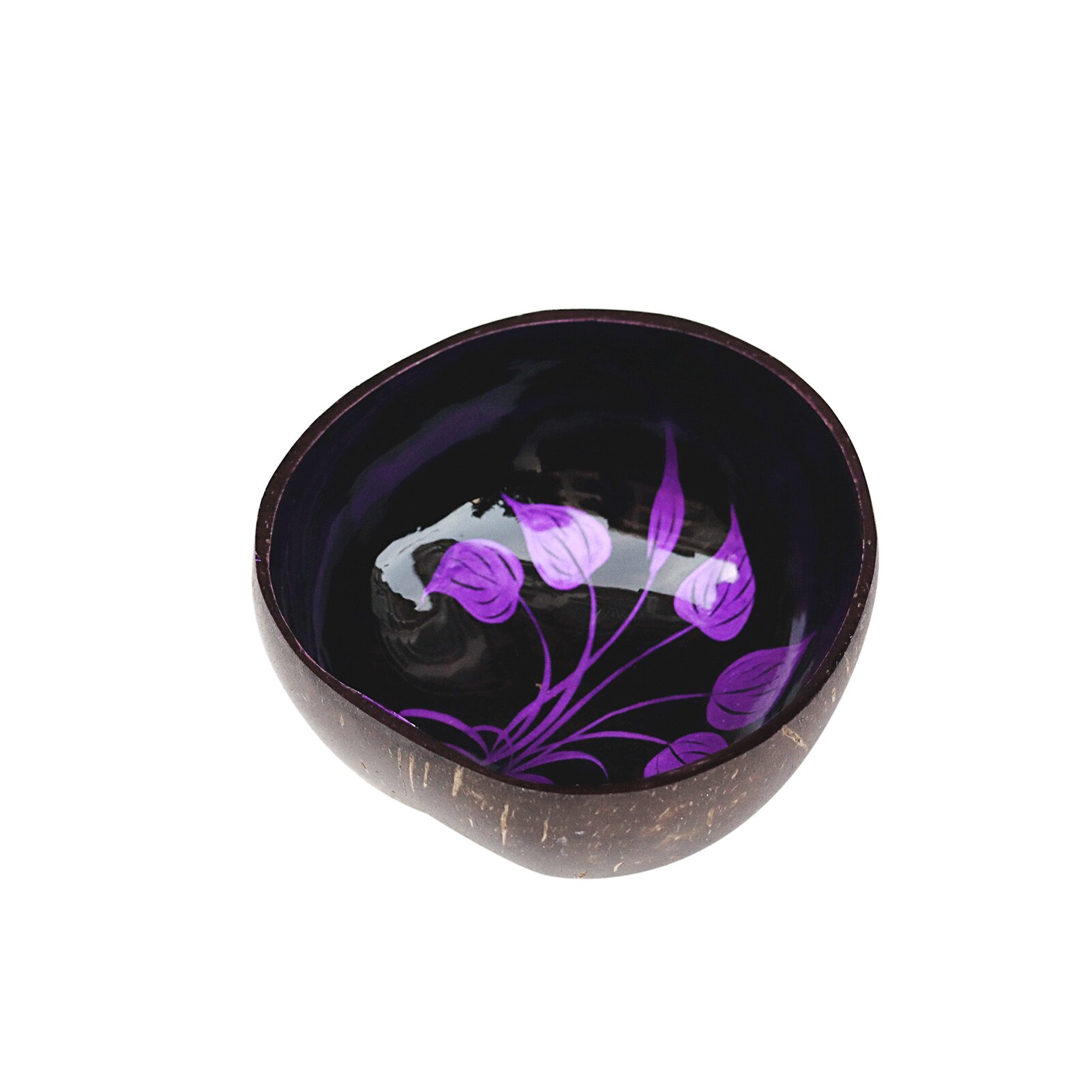 Coconut Shell Bowl Candy Sald Rice Food Tray Key Holder Storage Container Decor