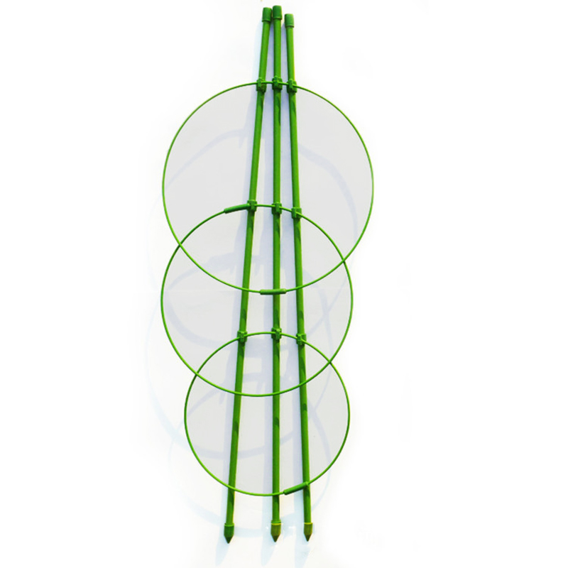 45 Cm Bloem Planten Clematis Klimmen Rack Ondersteuning Plank Huis Tuin Groene Landbouw Plant Grow