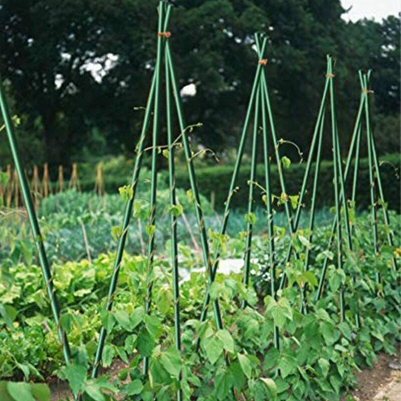 Practical 25 Pack Garden Stakes Metal Plastic Coated Plant Cage Supports Climbing for Tomatoes,Trees,Cucumber,Fences,Beans,40cm