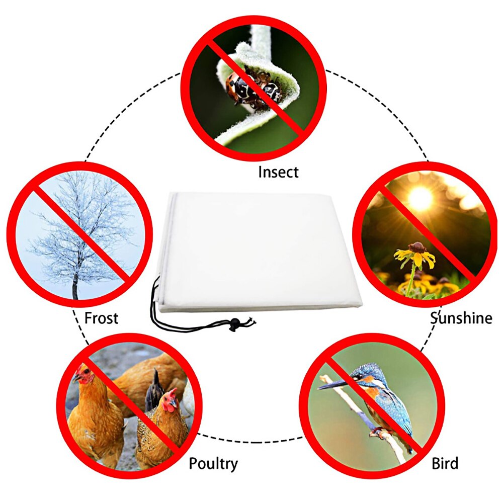 Winter Cold-Proof Tree Cover Plant Bird-Proof Bag Thick Transparent Plastic Various Sizes Winter Cold-Proof Tree Cover Plant