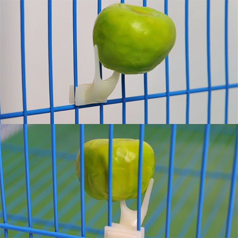 Lille størrelse fugle papegøjer feeder frugt gaffel kæledyr papegøje sæt installere bur tilbehør forsyninger 1pc hvide praktisk kæledyr enhed