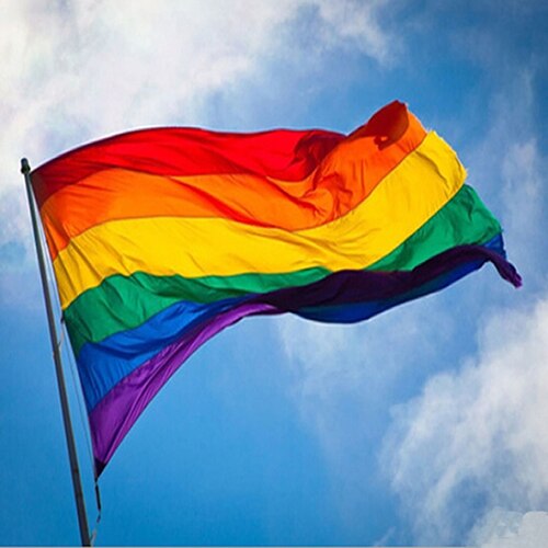 Regnbueflagg slitesterk stor polyester lesbisk homofil stolthet symbol lgbt flagg