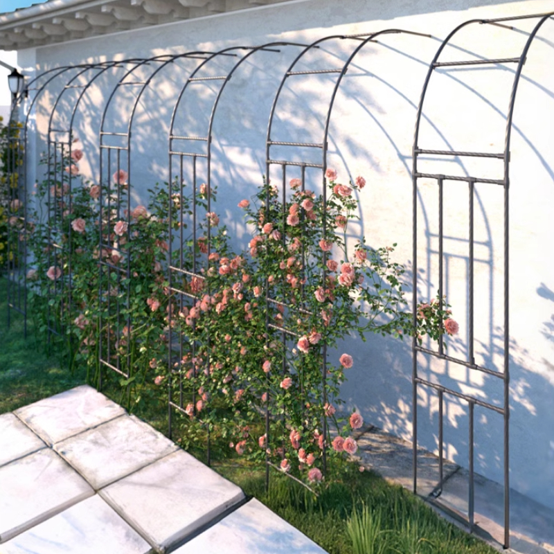 Support demi-arc pour plantes grimpantes, Support de jardin extérieur pour clématis ou Roses, Support de vigne de raisin Durable, système de culture de légumes