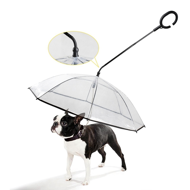Kæledyr hund justerbar paraply med c-formet håndtag regnvejrsdag trækkraft reb gennemsigtig paraply kæledyr regnvejrsdag forsyninger