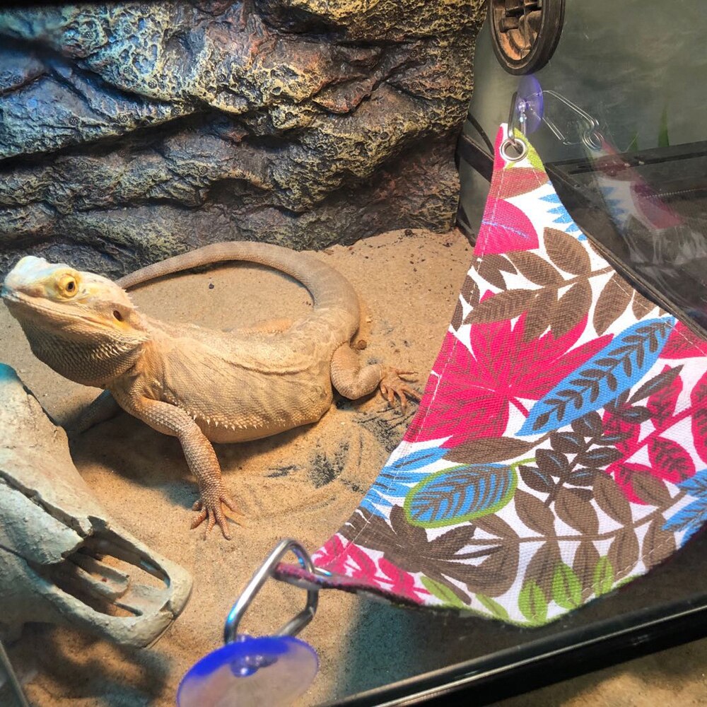 Hamaca para mascotas reptiles serpiente, lagarto cama colgante jaulas para mascotas cama suministros para reptiles para reptil serpiente lagarto subir cama para dormir jugar juguete