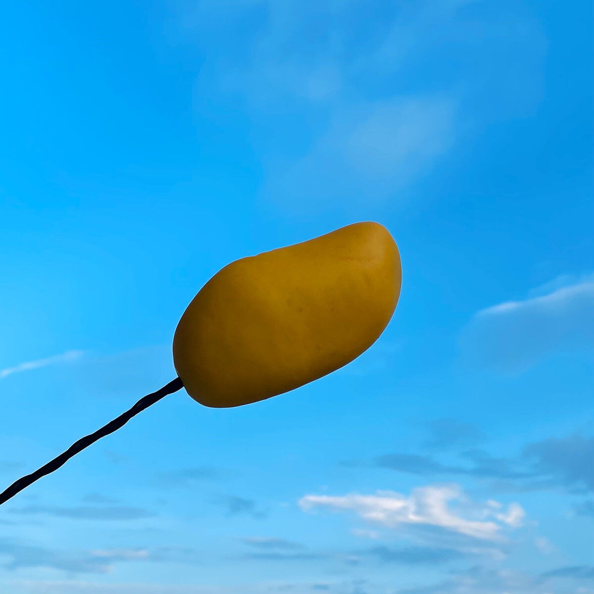 Mini Auto Antenne Decoratie Exterieur Decoratie Antenne Leuke Cartoon Voedsel Pop Cactus Dak Modificatie: NO. 7