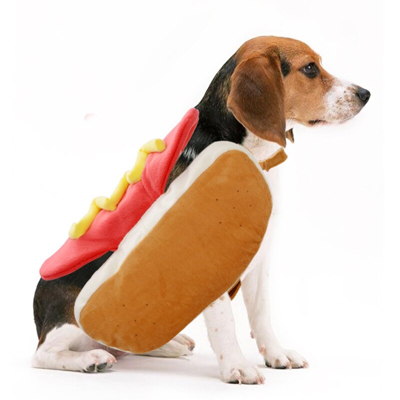 Morsomme kjæledyr katt hund pølsekostymer små hundeklær klær til halloween fest hamburger cosplay kostyme kappe hund tilbehør: Rygglengde 20cm