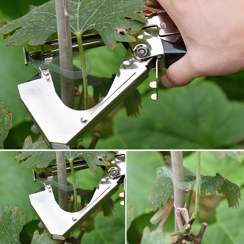 Economische plantenlinttang, tapener voor het vastbinden van druivenranken, plantentuin, bindapparaat voor tomaten en komkommerranken  ds99