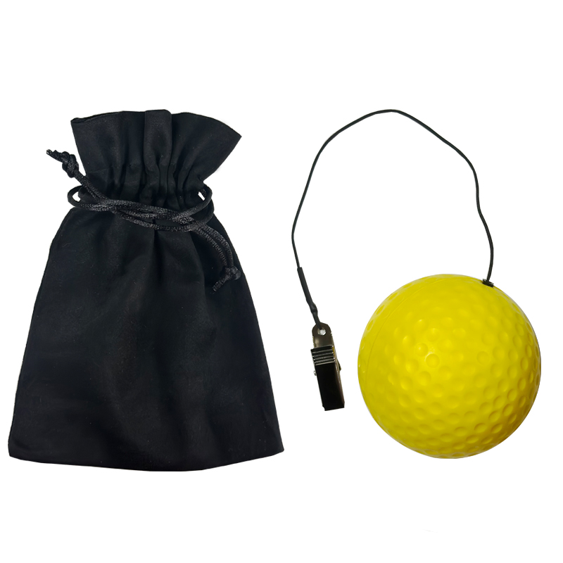 Golf Head Balance Rotation Training Golf Stable Head Training Aid Head Posture Correction Golf Training Accessories: WHITE