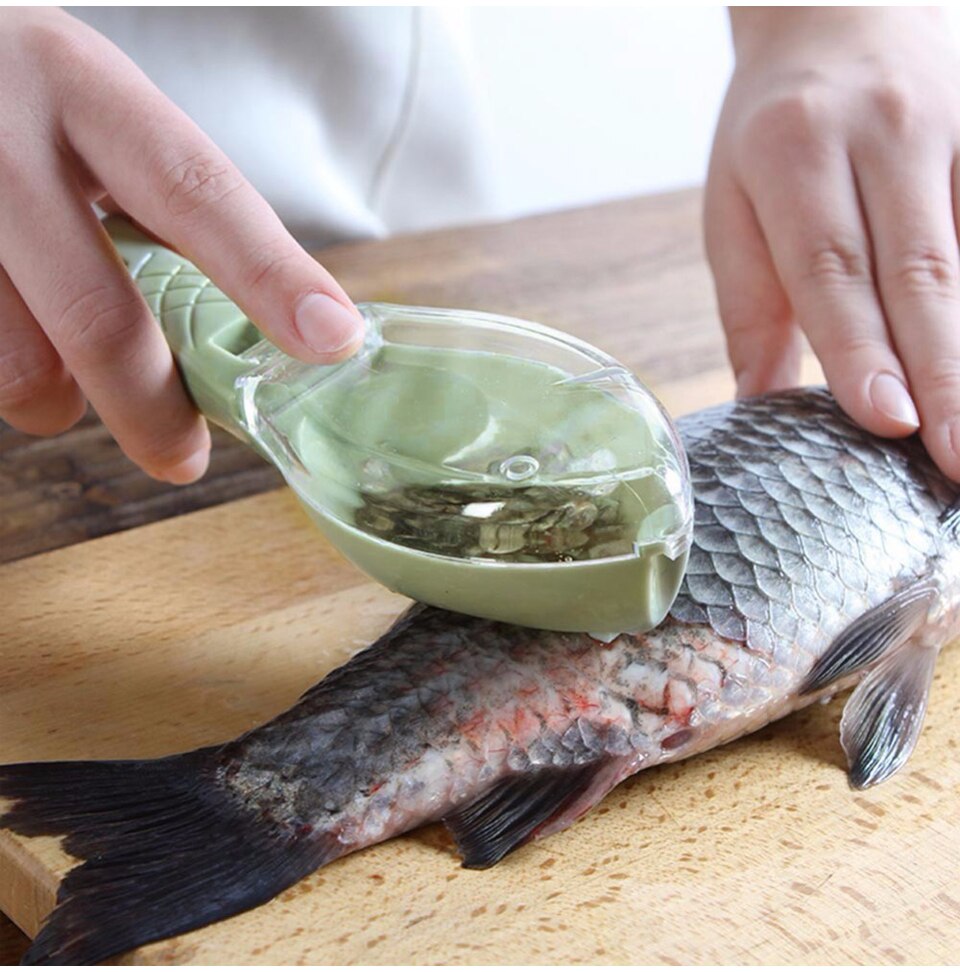 Fisk skala fisk børste skraberenavne remover scaler skraber rengøringsmiddel køkken værktøj peeler gadgets fishs clam skala skraber: Grøn