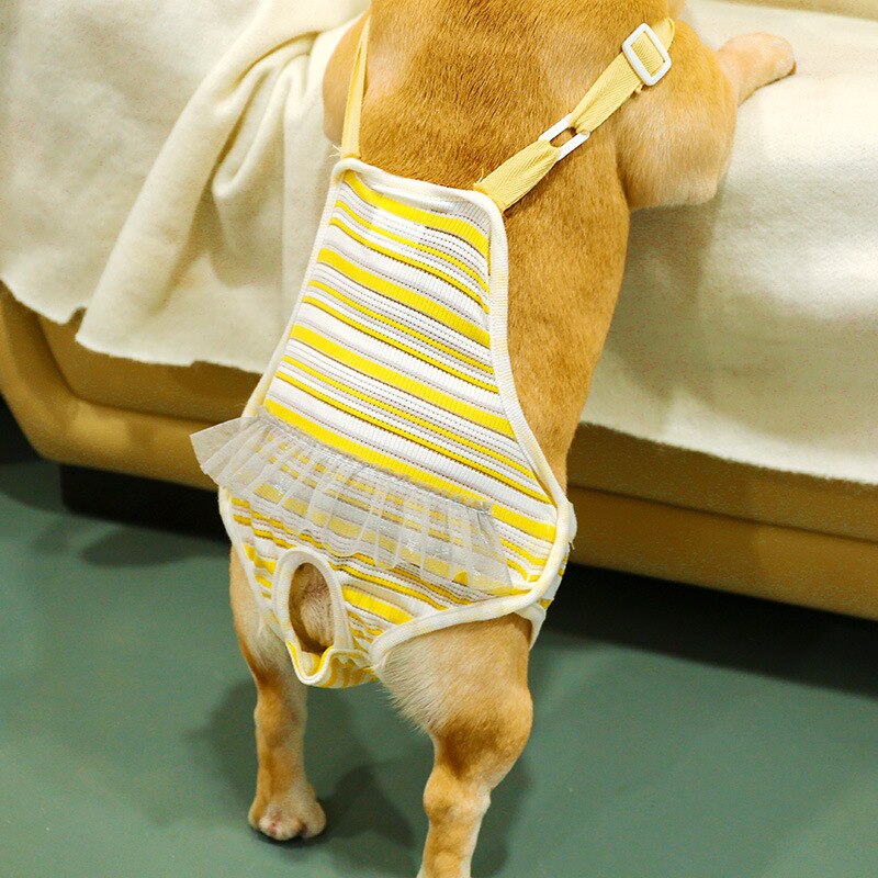 Pantalones cortos reutilizables para mascotas, braguitas sanitarias fisiológicas lavables para mujer, ropa interior para menstruación, calzoncillos para gato y perro