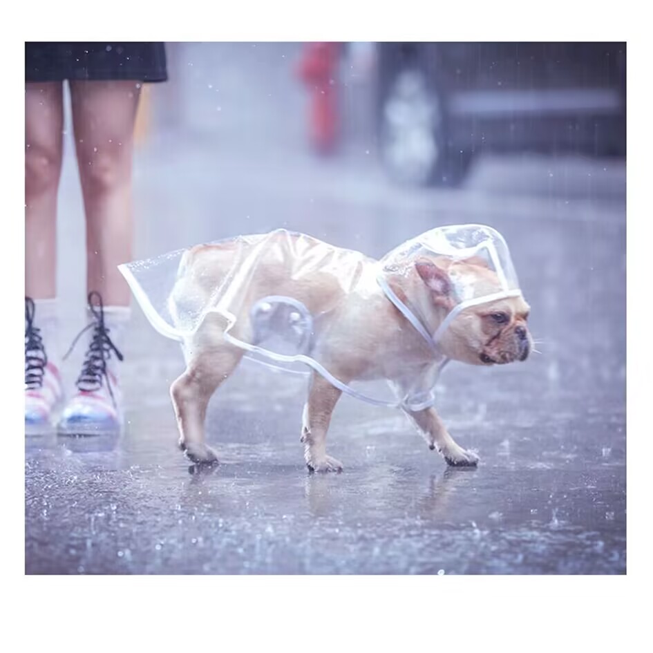 Capa de chuva para cães de estimação, roupas transparentes para cachorros, à prova d'água, macacão para cães pequenos e grandes, XS-7XL