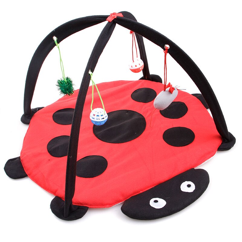Tente Portable pliable pour chat, jouets amusants pour animaux de compagnie, activité Mobile, tapis de jeu, couverture, maison, chaton