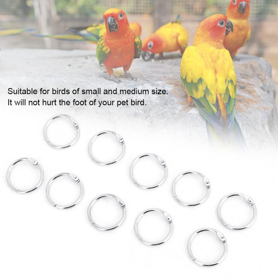 10 stk / sæt jern fuglefod ring pet papegøje anklet spænde fodringe sæt fugletræning tilbehør