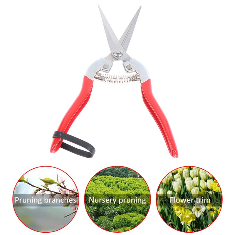 High Carbon Steel blade pruning cut Shrub tool Plant horticulture leaf trimmer Shear Scissor pruner Garden fruit flower Orchard