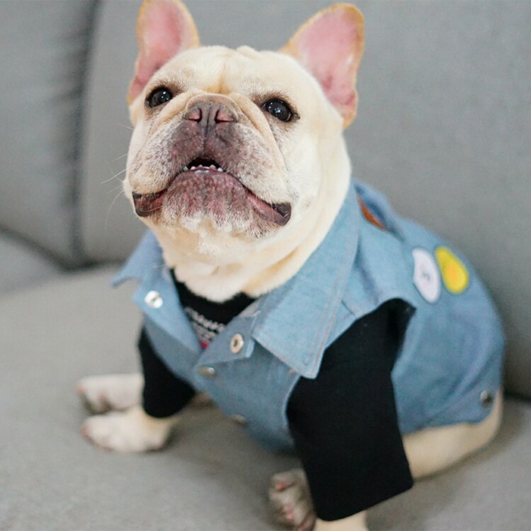 [Tienda MPK]-ropa para perros y gatos, chaleco vaquero Bulldog Francés, ropa informal de bulldog inglés