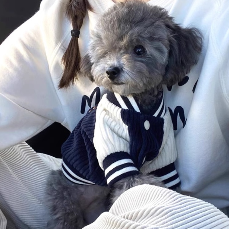 Bordado dos desenhos animados cão uniforme de beisebol inverno quente roupas para cães moda filhote de cachorro casaco engrossar macio gato casaco trajes para animais de estimação