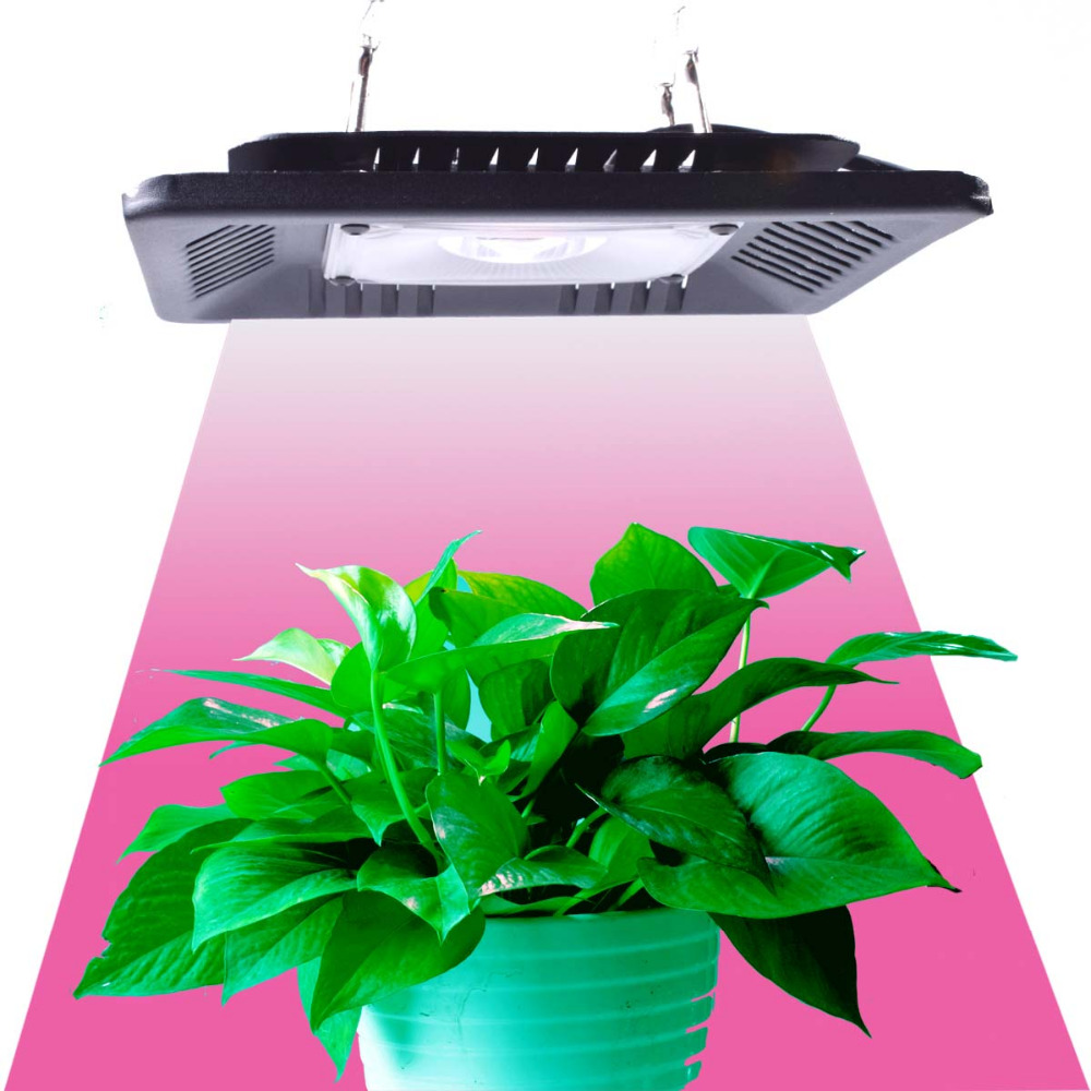 COB 50W 100W 200W 300W Led Grow Light Full Spectrum Ultra-Thin Waterproof IP67 Growing Lamp for Vegetable and Bloom Indoor Plant