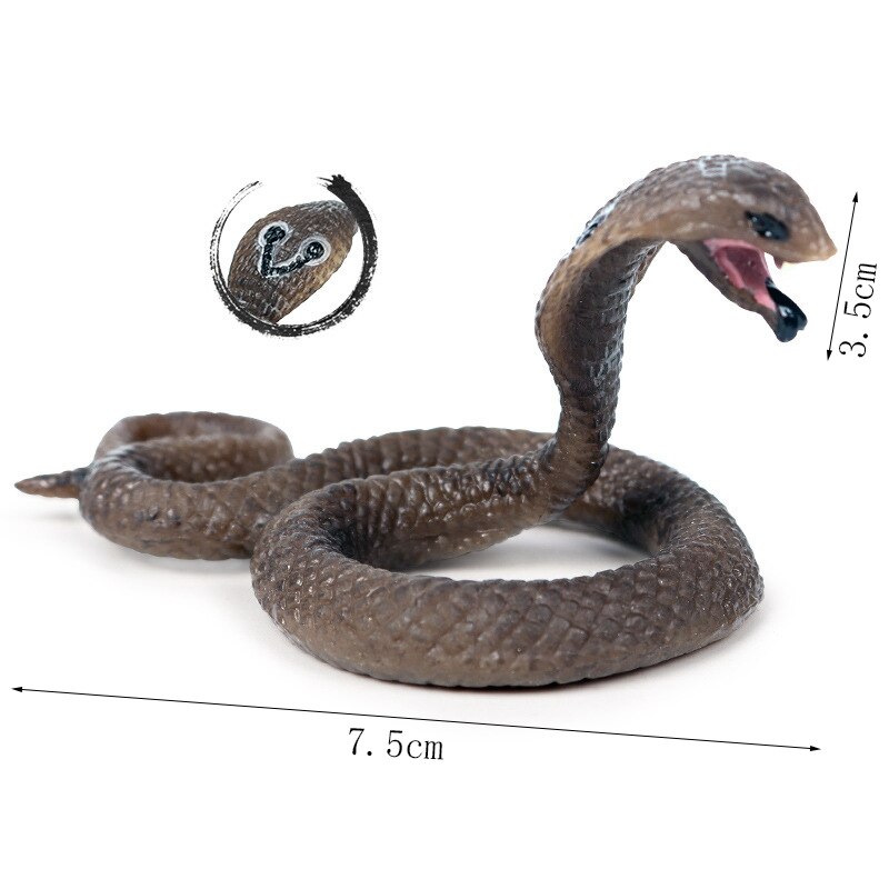 Solid simulering dyreliv slange legetøj king cobra lille cobra model amfibie krybdyr dekoration