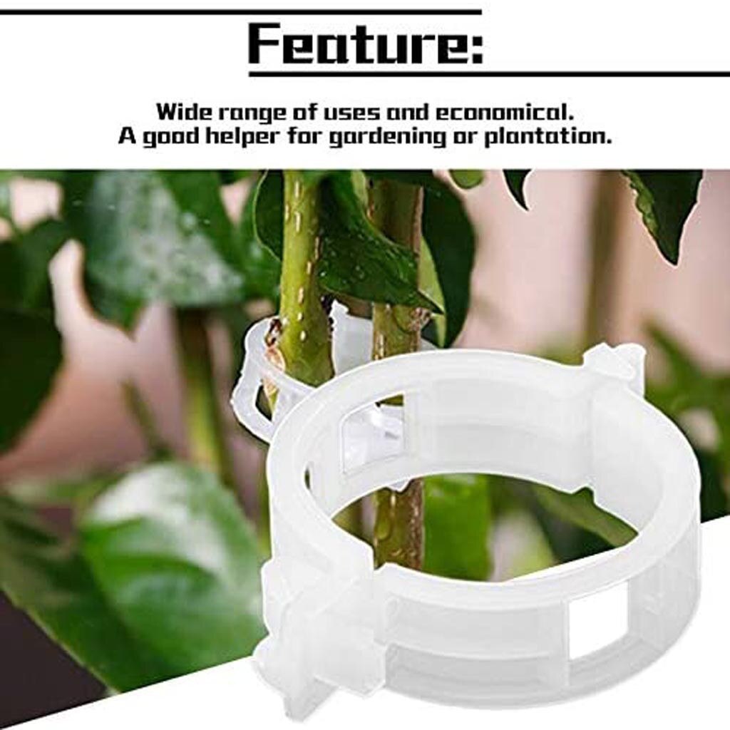 Gardening Tool Accessories 50pc Artificial Plant Clip Hami Melon Plastic Vine Tether Clip Vine Clip Gardening Supplies