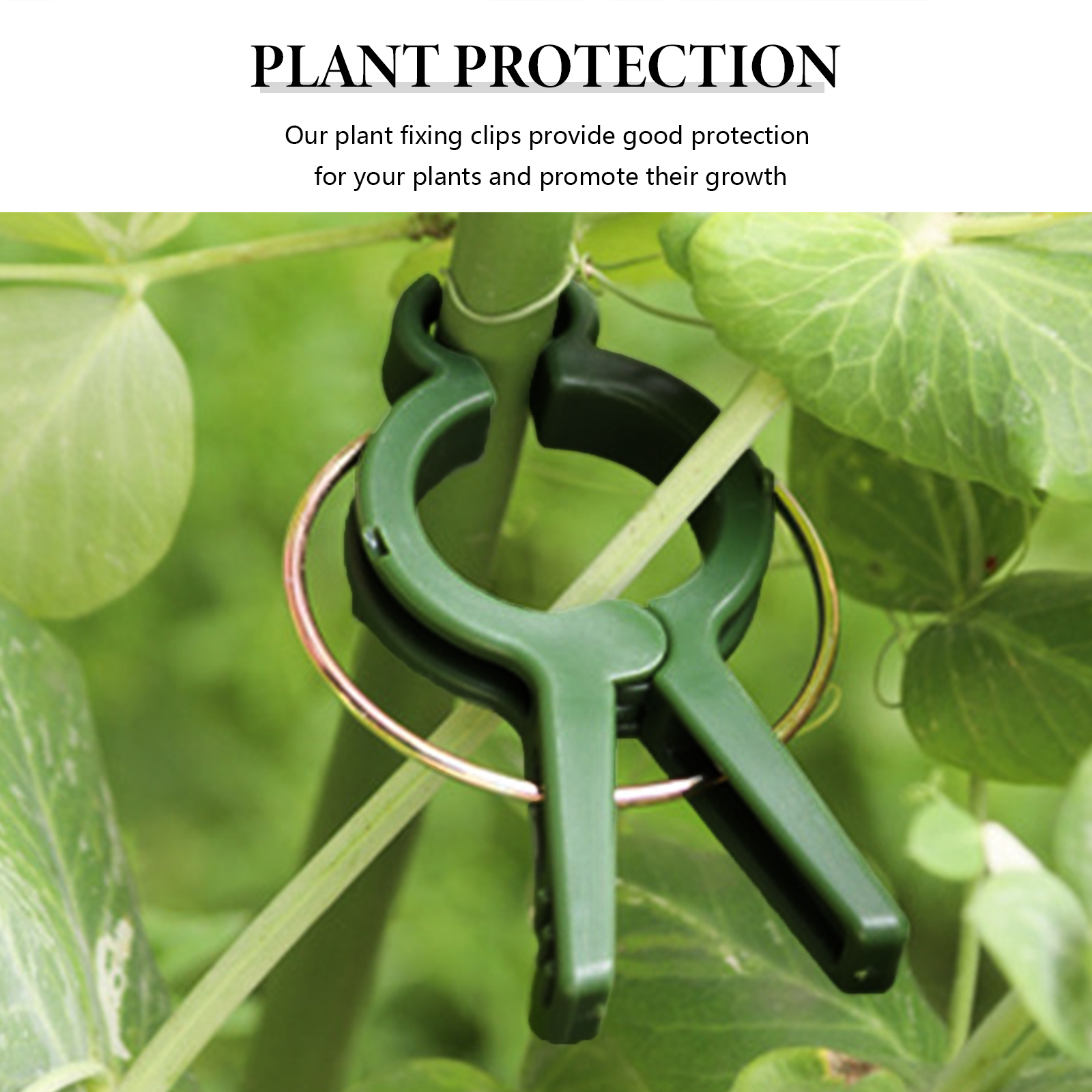 Clips de support en plastique pour plantes de jardin, sécurise les plantes pour éviter l'emmêlement des plantes rapidement et facilement