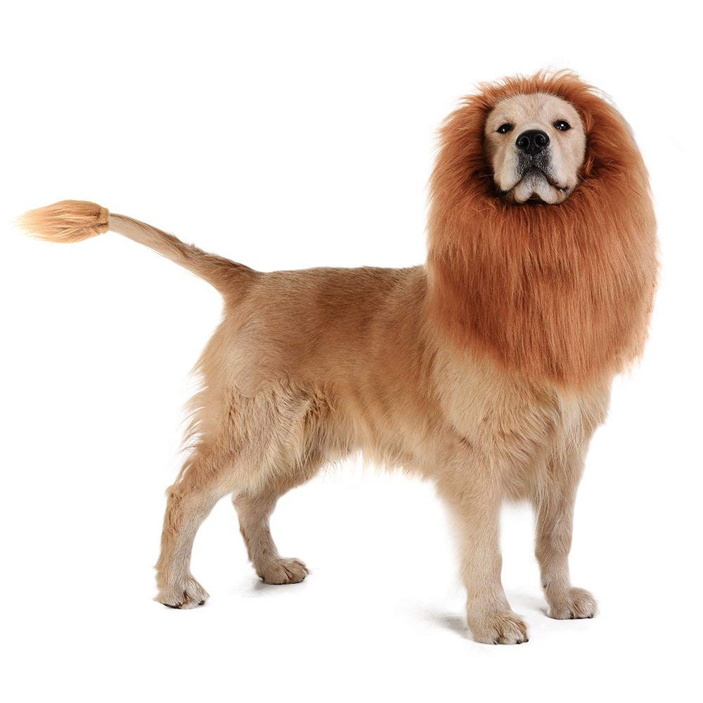 Hond Leeuw Manen-Realistische & Grappige Leeuw Manen Voor Honden-Complementaire Leeuw Manen Voor Hond Kostuums-Leeuw pruik Voor Middelgrote Tot Grote