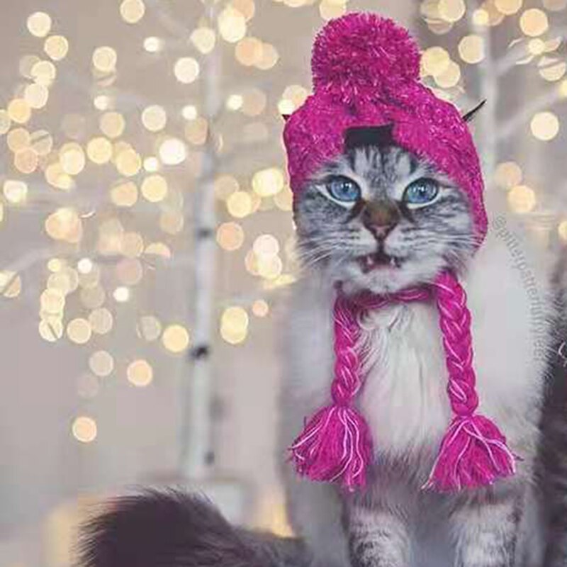 Gorro cálido de invierno para mascota, gorro de punto a prueba de viento para gato de Navidad, para perros pequeños y medianos, Chihuahua, Bulldog francés: WW0002 / S