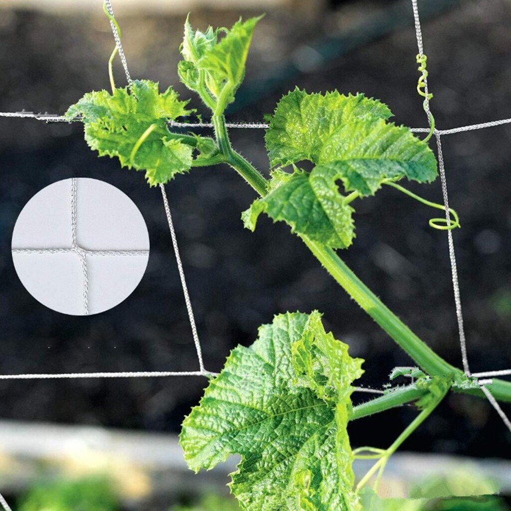 Trädgård spaljé nät växt stöd vinranka klättring hydroponics växa netto