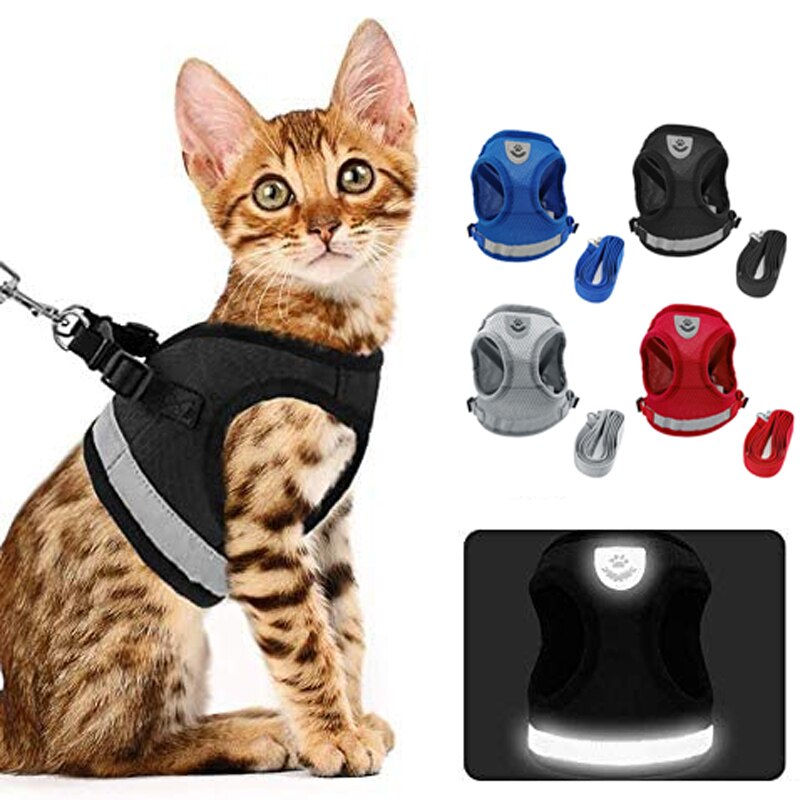 Kattenharnas kattenvest harnas en autogordel adapter verstelbaar reflecterend zacht mesh harnas voor kat puppy ontsnappingsveilig