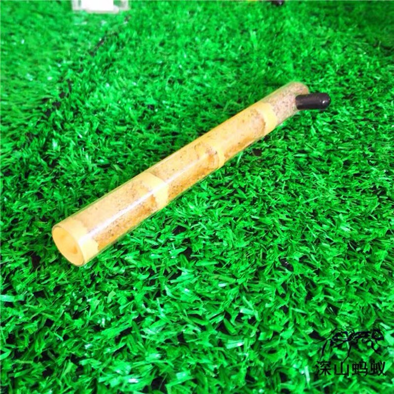 Enkele Reageerbuis Nest Acryl Ant Nest Slub Beton Ant Farm Achter Groep Teelt Gebruik Test Buizen Met Ondersteuning