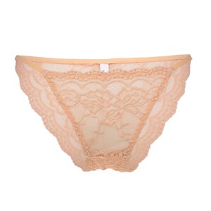 DeRuiLaDy Lace Transparent Women Low Rise Sexy Underwear Panty Women's Bowknot Lace Crotch Briefs: Khaki / XL