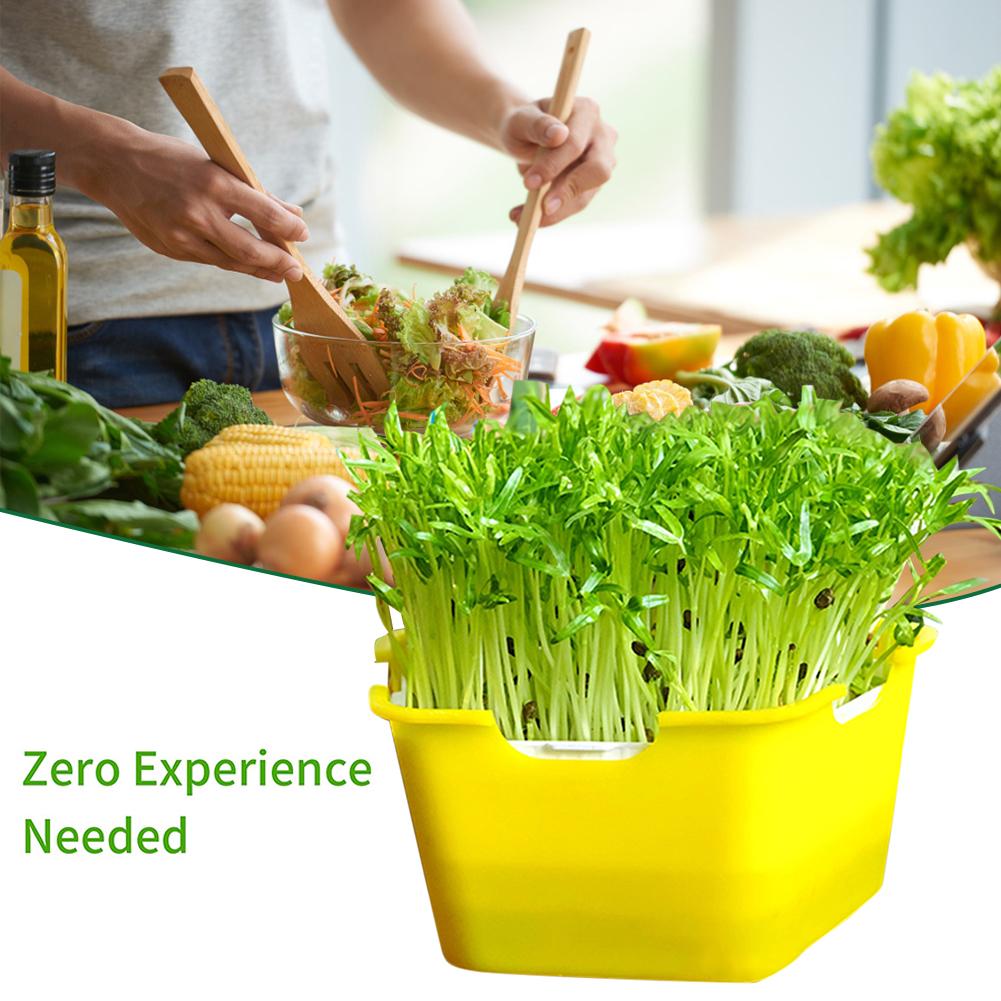 Plant Germination Tray Portable Moisture Proof Planting Box Multifunctional Sprouting Seeds Tray With Cover Gardening