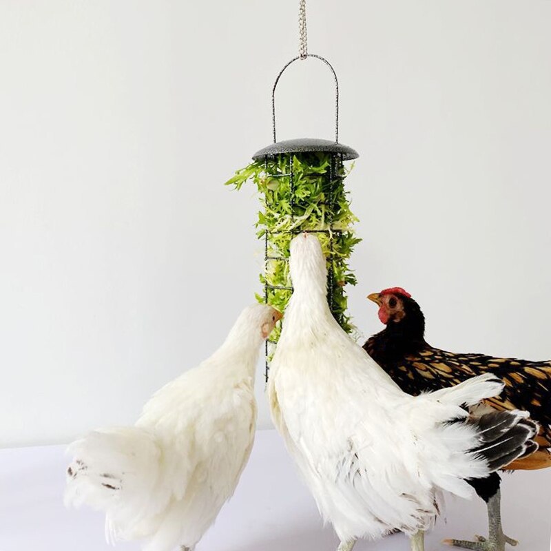 Kycklingmatare korg vegetabilisk frukt veggie hängande coop duva kyckling tupp höna kul födosaker metall behandla låda matning verktyg