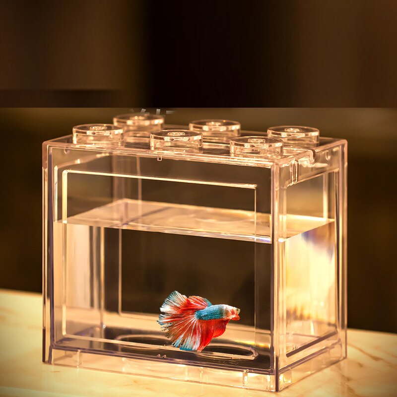 Minni Betta-pecera para tortugas, reptiles, medusas, peces dorados, camarones, bolas de musgo, insectos, caja de Decoración de mesa, suministros para acuario