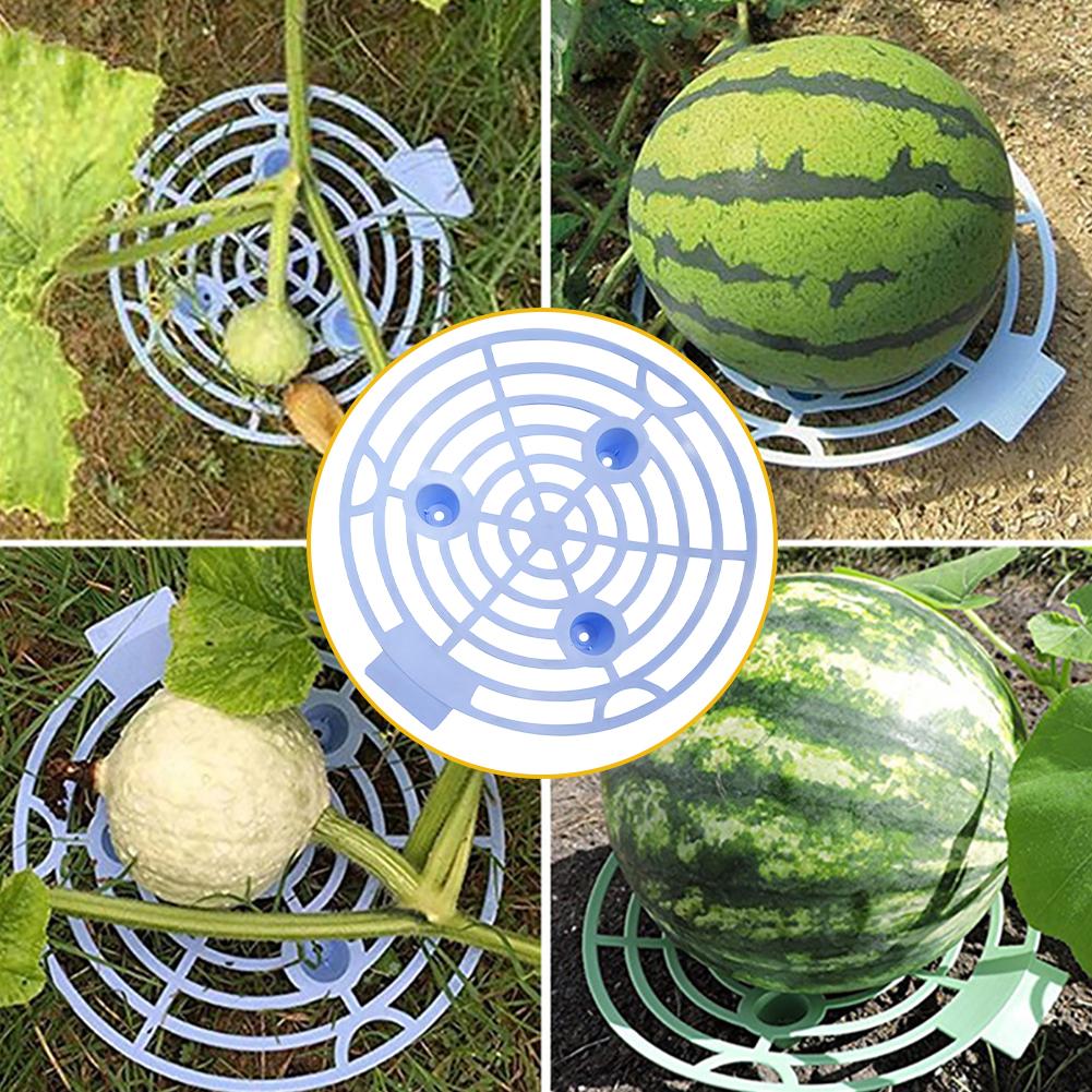 3PC Durable Multi Function Melon Squash Cradle Watermelon Cradle Plant Support Garden Support Protector for Watermelon