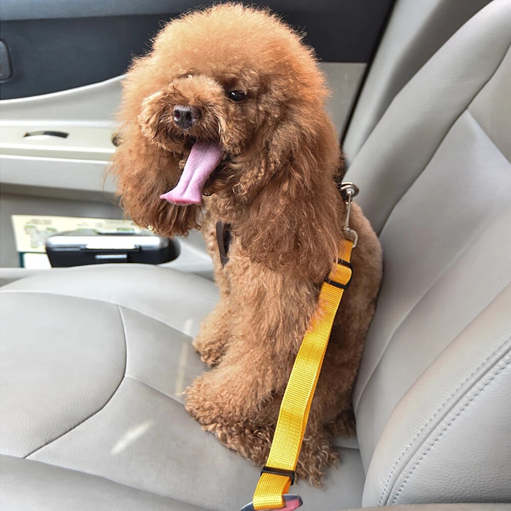Pet Hond Kat Autogordel Verstelbare Harnas Veiligheidsgordel Lead Leash Voor Small Medium Honden Reizen Clip Dierbenodigdheden 5 kleuren
