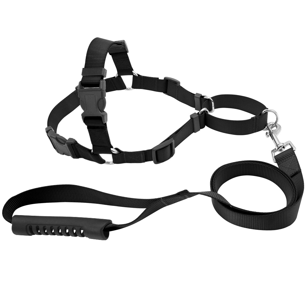 Pet No-Pull Nylon Dog Harness With Leash Training Harness Stop Pulling On Lead Small Medium Large