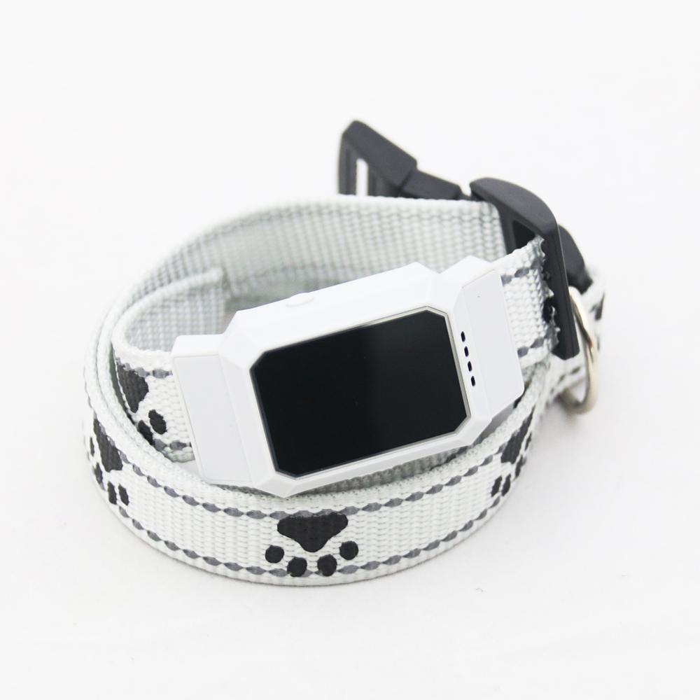 D35 Pet GPS GSM Tracker Dog Cat Real-time Tracking Collar Security Finder Locator: white