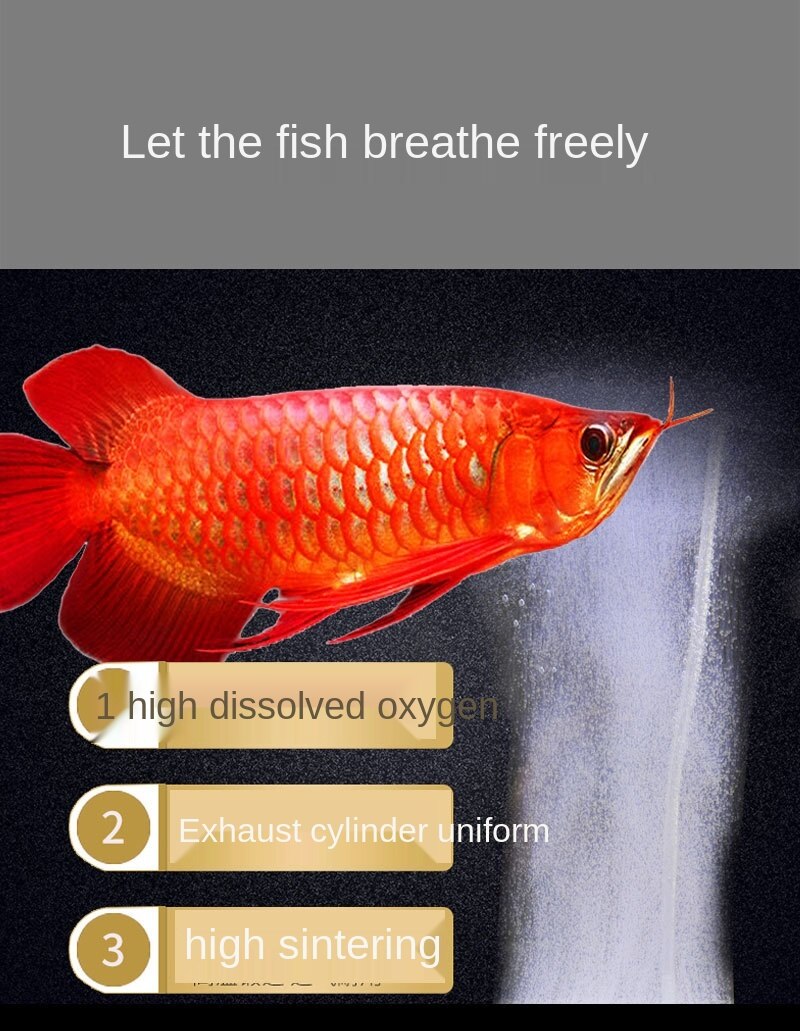 Fish Tank Low Pressure Nano Bubble Disc Oxygen Booster Air Stone Oxygen Stone Atomizing Gas Disc Aquarium Aeration Accessories