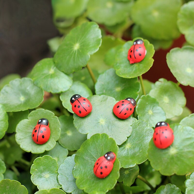 10Pcs Mini Ladybird Red Beetle Ladybug Fairy Doll House Garden Decor Ornament P31E
