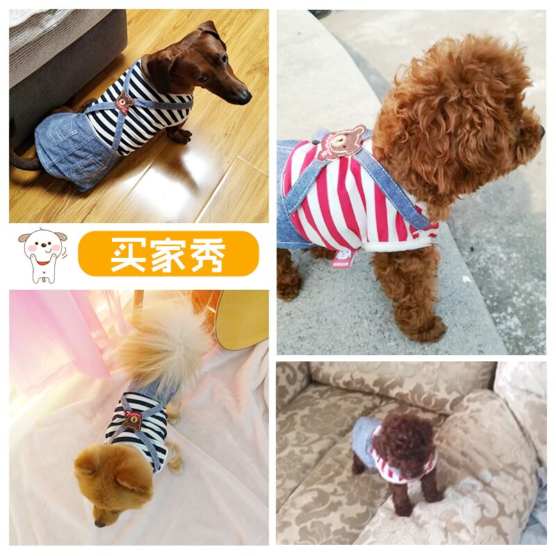 Ropa de mascotas para Yorkshire Terrier, perros pequeños, cachorros, animales pequeños, razas a rayas, vestidos de princesa para boda y gatos de verano