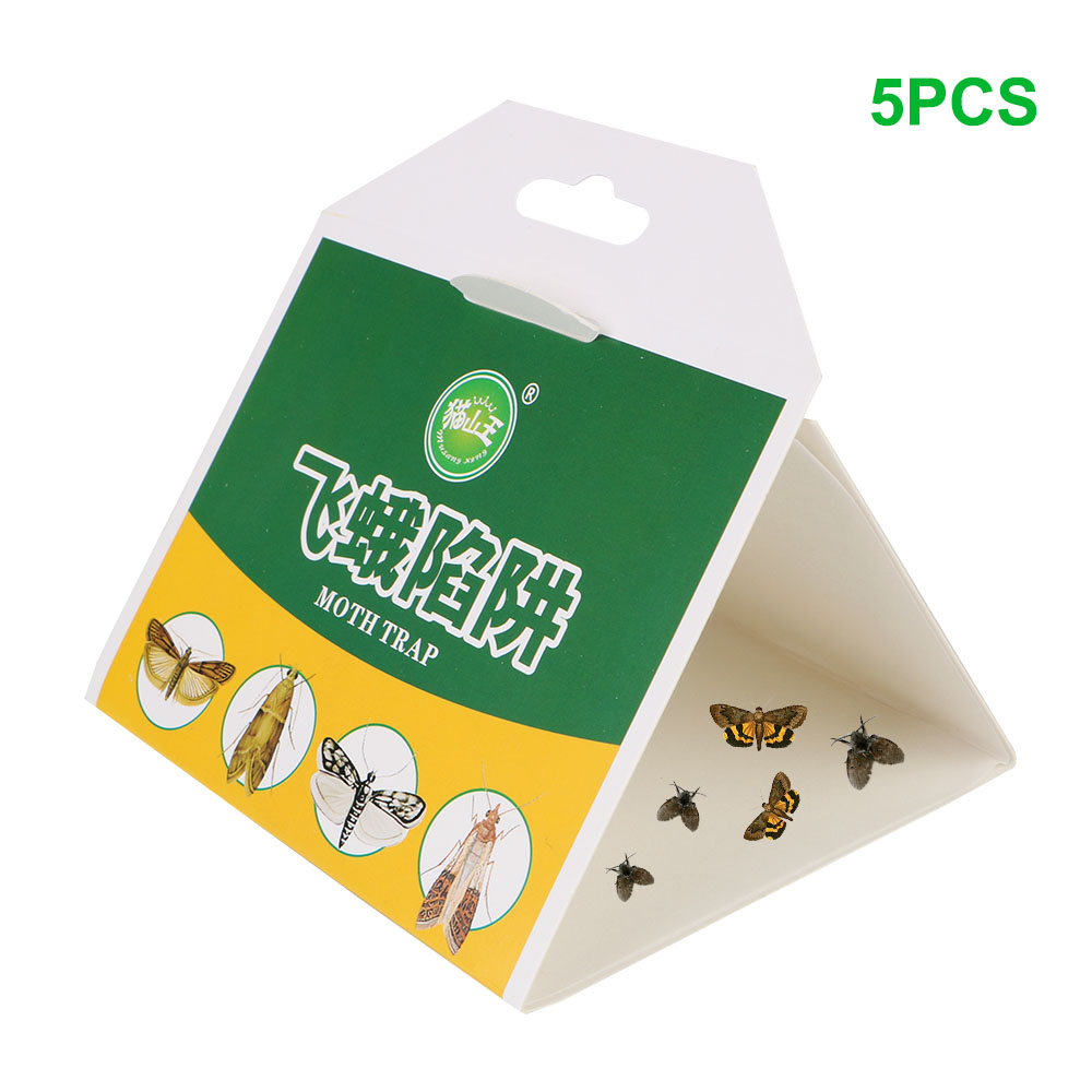 Falene feromone Killer trappola per colla appiccicosa 5 pezzi trappole per falene rifiuti di parassiti insetti volanti Catcher magico per tarme