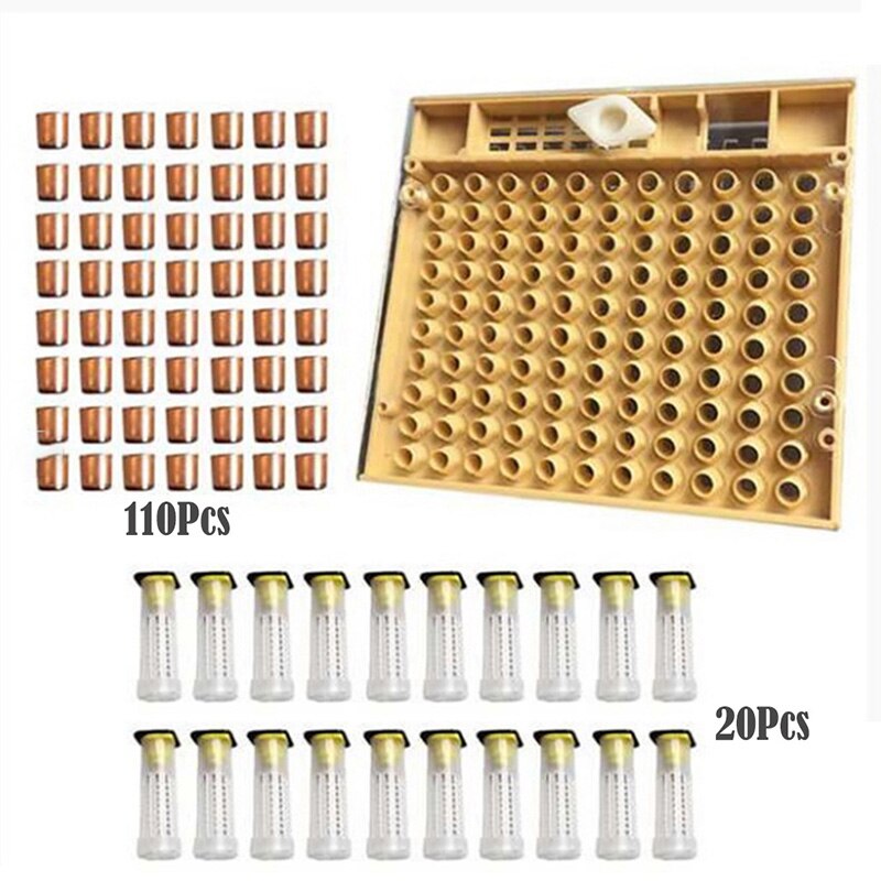 Beekeeping Tools Set Rearing System Cultivating Box 110pcs Plastic Cups Bee Nicot Complete Catcher Cage Beekeeping Tools: G258014A