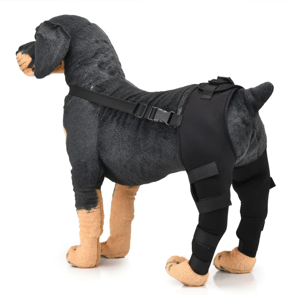 Pet Puppy Knee Pads Dog Back Leg Braces for Injured Dogs Support Brace Injury Joint Wrap Recover Protector Dog Accessories: L / WHITE