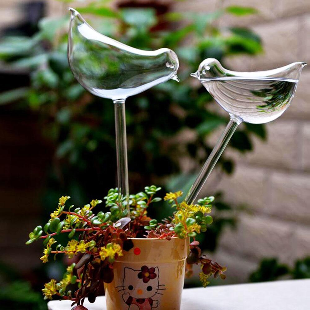 Plante vanner glass fugl form plante hage automatisk selvvanning enhet sprinkler hage klart glass dekorativt vanningsverktøy