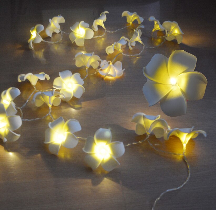 3M 20LED String Starry Lights USB Powered Hawaiian Foam Artificial Plumeria Flower Fairy for Wedding Garland Party Home Decor: Warm White
