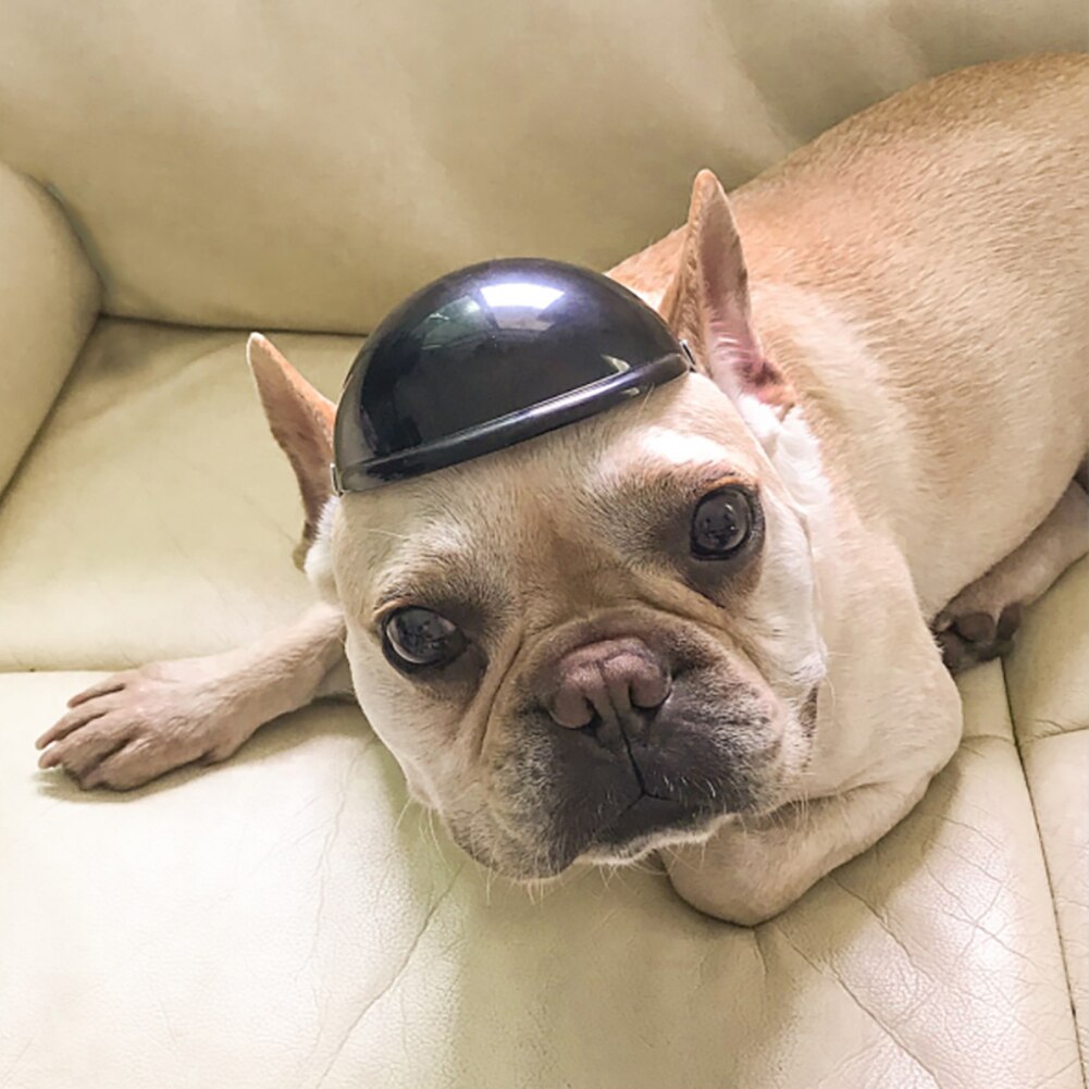 Casco de plástico para perros y motocicletas, protector de protección para mascotas, ABS, a la ,