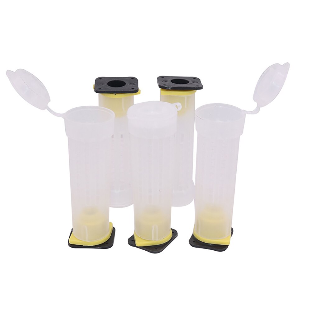 1set bee tools kit queen rearing system complete cupkit box cells protective cover plastic bees equipment cages supplies